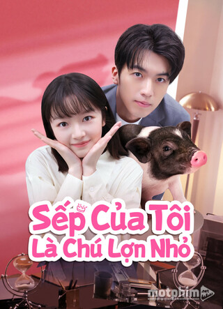 SẾP CỦA TÔI LÀ CHÚ LỢN NHỎ